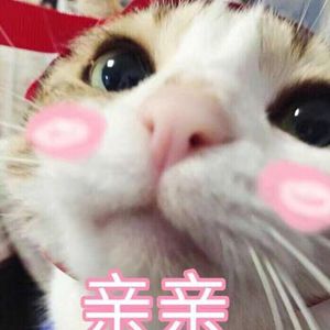 旧本a片温泉下的母子
